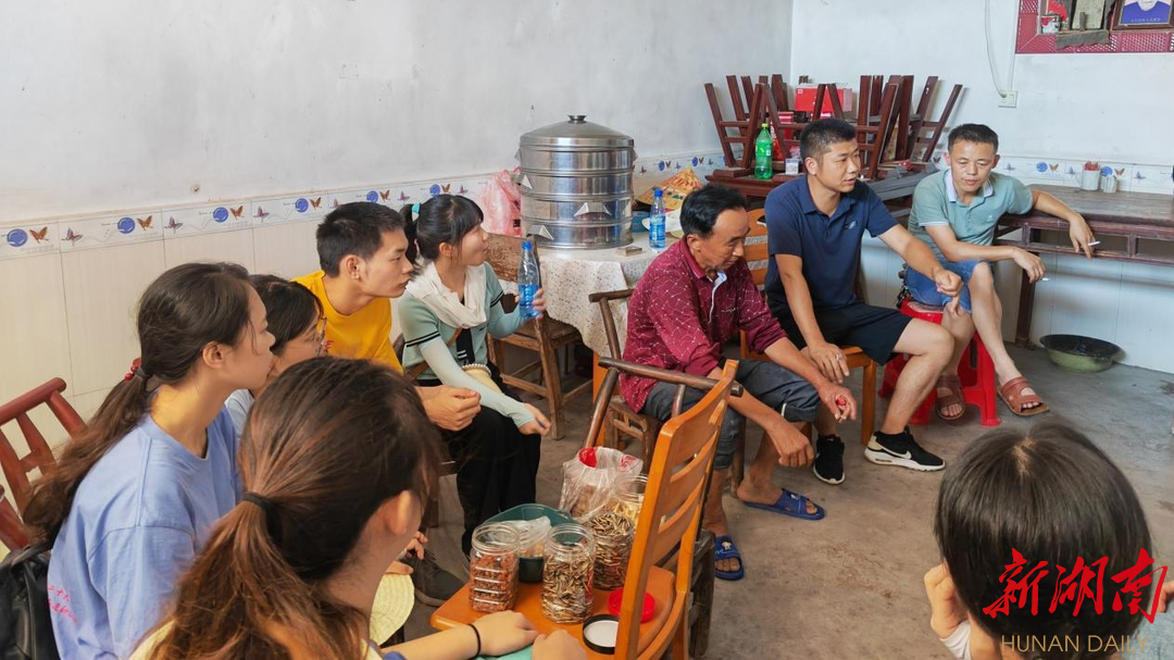 青春聚力“三下乡”,振兴农村新篇章 青春聚力“三下乡”,振兴农村新篇章