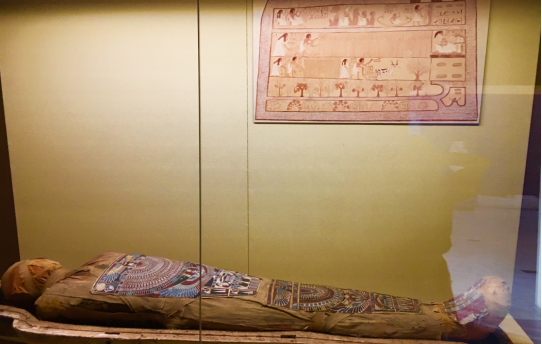 1551442853267091749.png blob.png