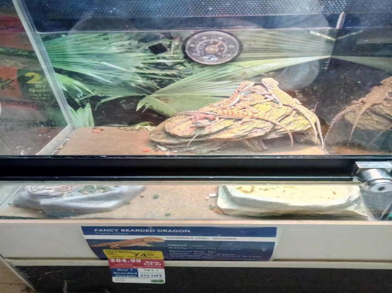 1551435117414098163.png 图片74.png