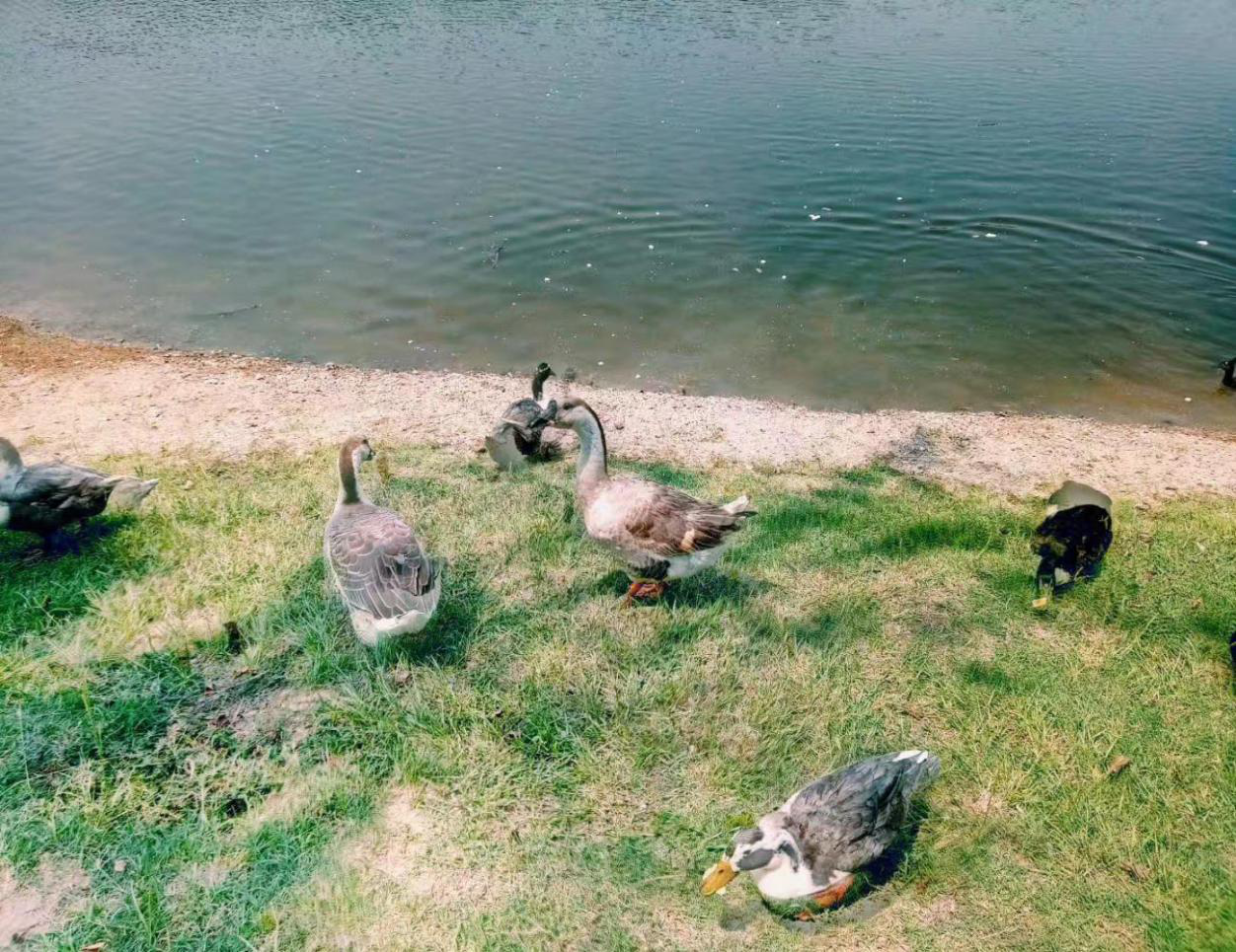 1551435258814075088.png 图片81.png