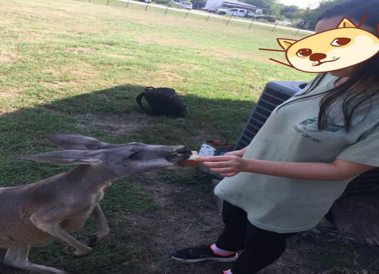 1551435295009026817.png 图片82.png