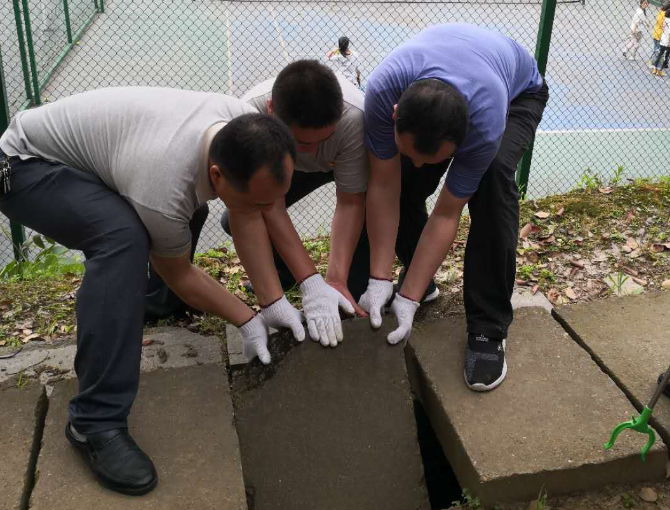 1556427305967058571.png 2222.png