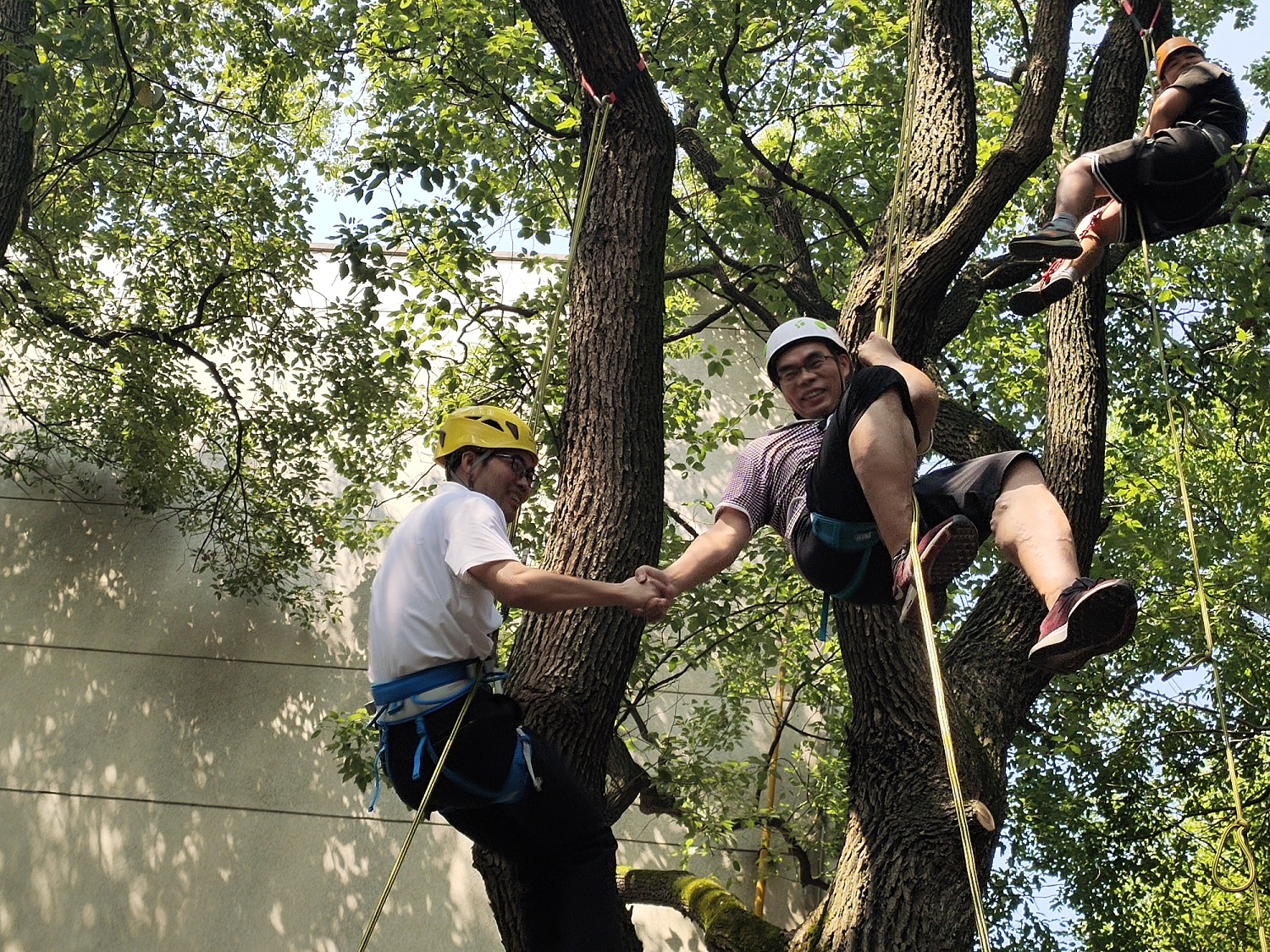 1632303974475020286.jpg 1632303974475020286.jpg