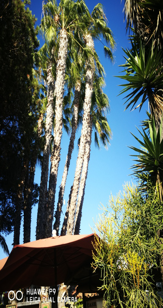 1551440531622034594.png 图片14.png