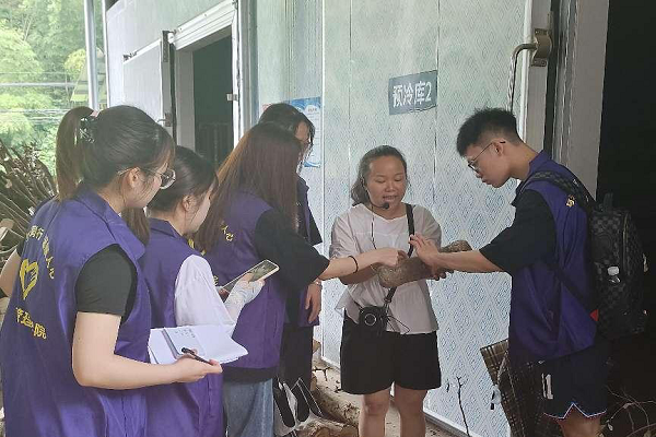 “三下乡”专栏(二) | 远辰志愿服务队活动纪实:落日归山海,烟火向新晨