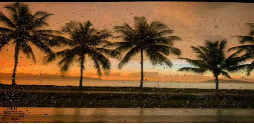 1552977376550083255.png blob.png