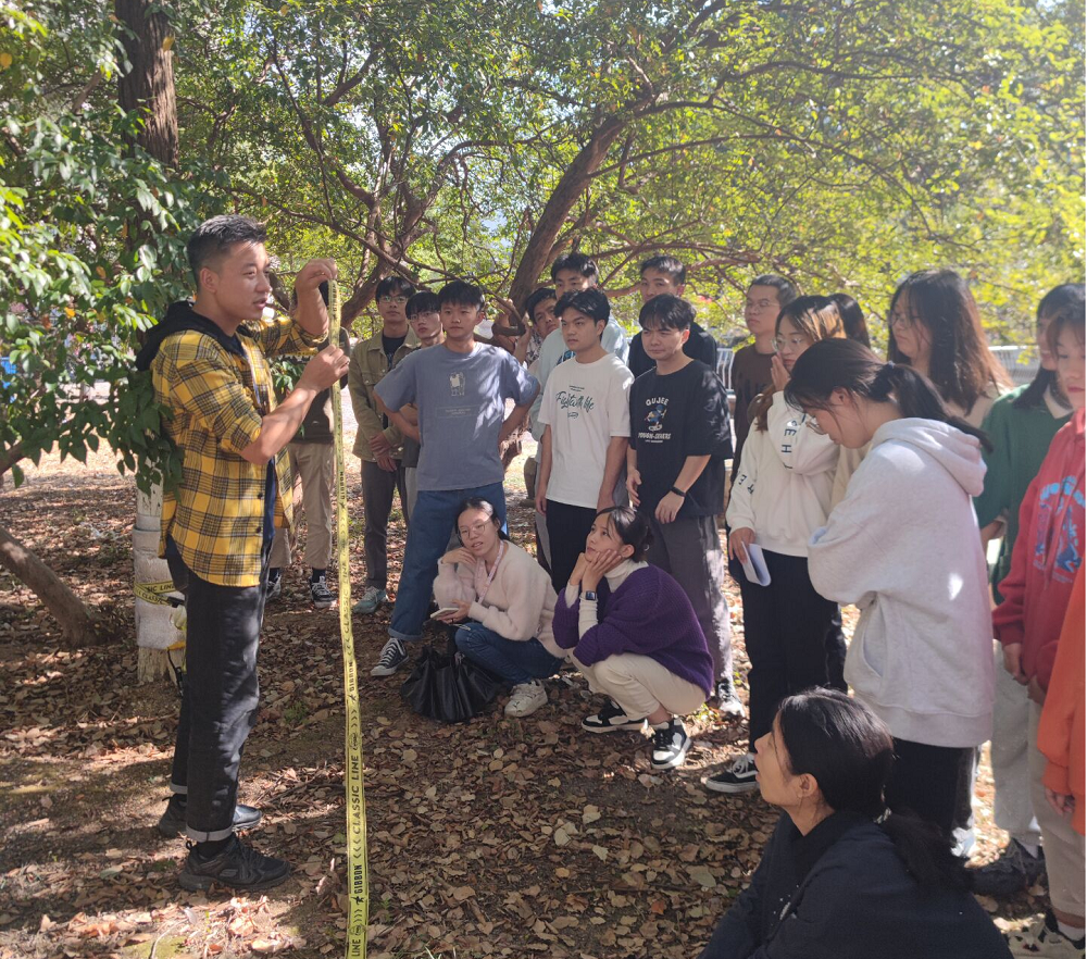 1669176779485055089.png 改扁带2图片1.png