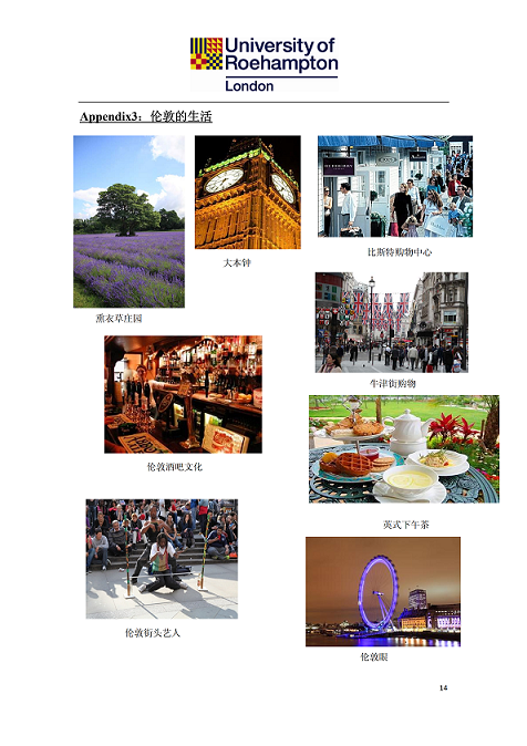 罗汉普顿大学项目手册_13.png