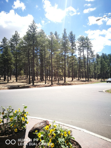 1551439918920095287.png 图片10.png